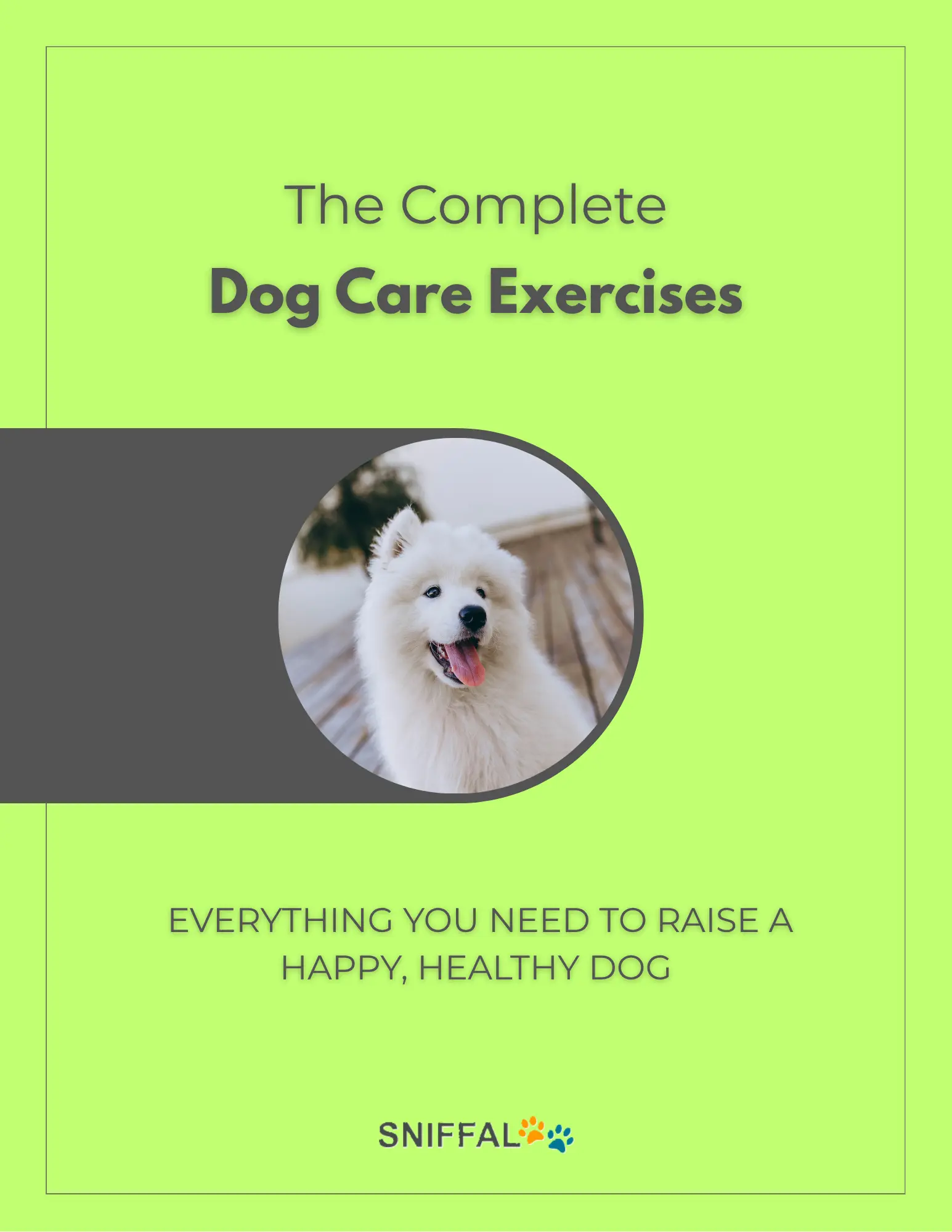 Dog Care Exercises – article image